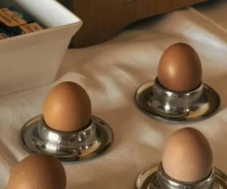 Landgasthof Rhoensicht 호텔